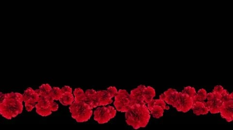 Lowerthird single particle 24 track matte 01 Stock Footage 11428172