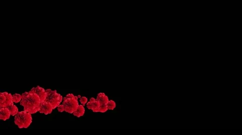 Lowerthird single particle 24 track matte 02 Stock Footage 11428180