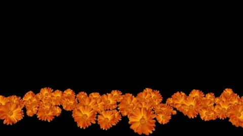 Lowerthird single particle 25 track matte 01 Stock Footage 11428189