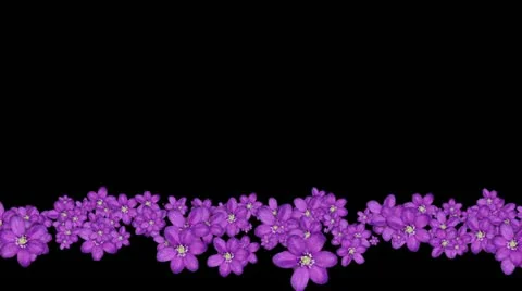 Lowerthird single particle 26 track matte 01 Stock Footage 11428222