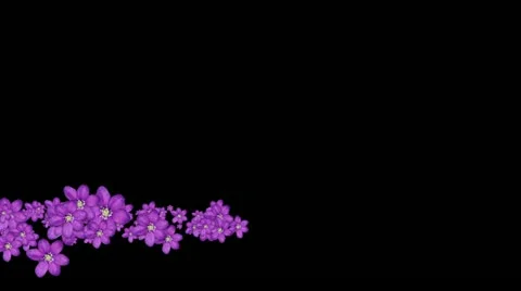 Lowerthird single particle 26 track matte 02 Stock Footage 11428232