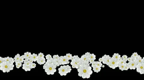 Lowerthird single particle 27 track matte 01 Stock Footage 11428240