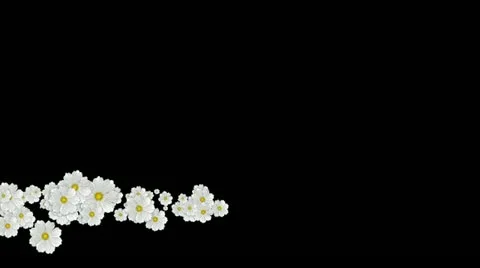 Lowerthird single particle 27 track matte 02 Stock Footage 11428257