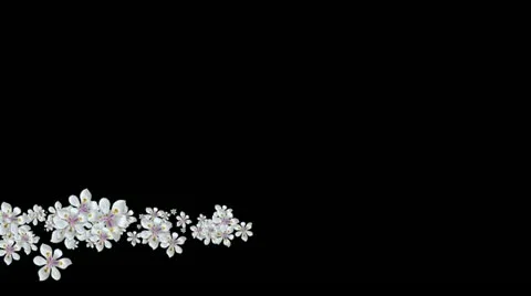 Lowerthird single particle 28 track matte 02 Stock Footage 11428265