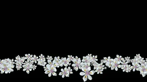 Lowerthird single particle 28 track matte 01 Stock Footage 11428280