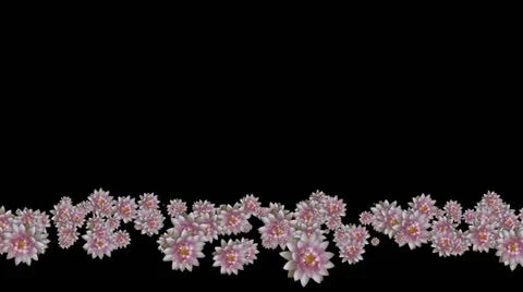 Lowerthird single particle 30 track matte 01 Stock Footage 11428311