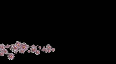 Lowerthird single particle 30 track matte 02 Stock Footage 11428322