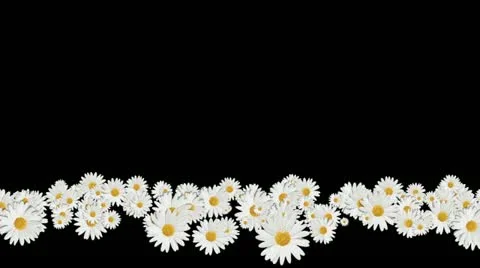 Lowerthird single particle 31 track matte 01 Stock Footage 11428329