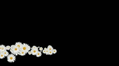 Lowerthird single particle 31 track matte 02 Stock Footage 11428333