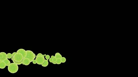 Lowerthird single particle 34 track matte 02 Stock Footage 11430111