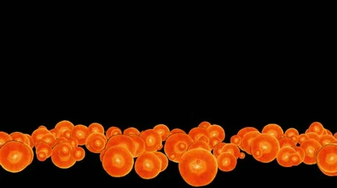 Lowerthird single particle 37 track matte 01 Stock Footage 11430152