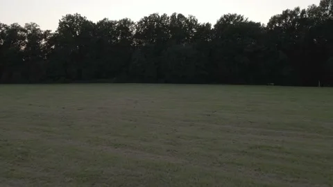 Lowflight above field into Sunset Stock Footage 194423235