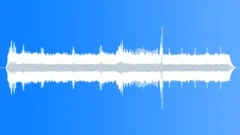 Lowland Swamp Forest Atmosphere Sound Effect