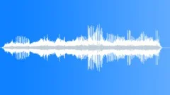 Lowland Swamp Forest Atmosphere Sound Effect