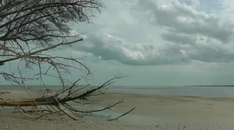 Lowlands island Stock Footage 11115476