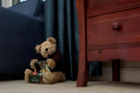 LowTeddyBear Stockfoto's