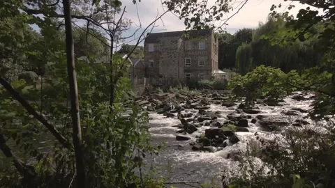Low/wide angle drone tracking shot through trees over water Stock Footage 206060759