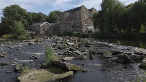 Low/wide angle drone tracking shot through trees over water Stock Footage 206060770