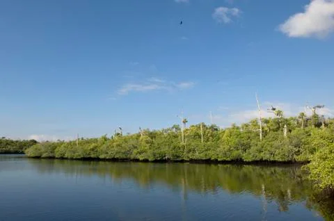 Loxahatchee river Stock Photos