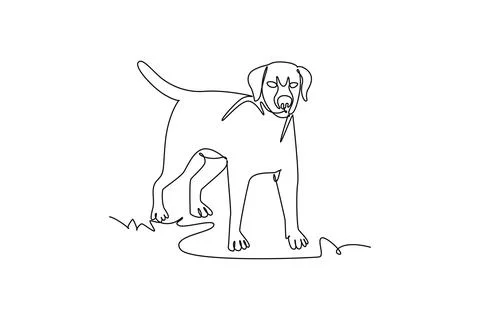 Loyal dog standing alert while facing forward with folded ears and upright tail Ilustração Stock