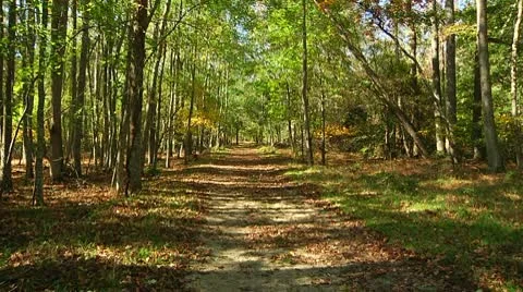 LP-Allaire-3a Stock Footage 8852434