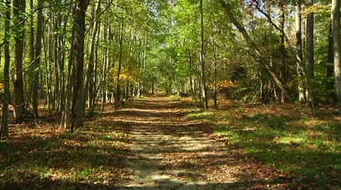 LP-Allaire-3b Video stock 8852472
