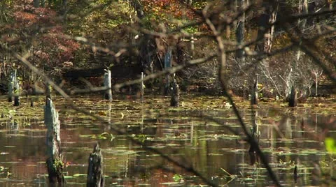 LP-Allaire-7 Stock-Footage 8852533
