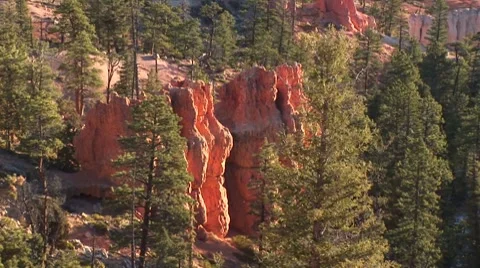 LP-Bryce-006b Video stock 8521996