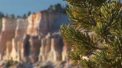 LP-Bryce-013b Video stock 8522036