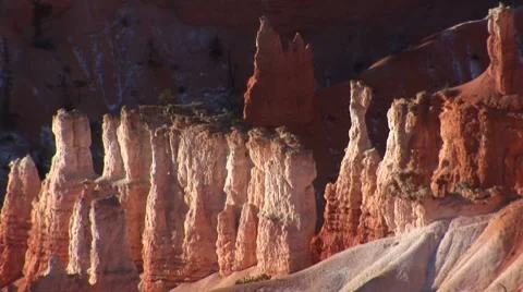 LP-Bryce-016 Video stock 8522119