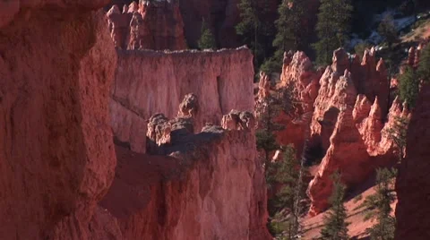 LP-Bryce-045 Video stock 8522175