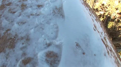 LP-Bryce-086 Vídeos de archivo 8523059