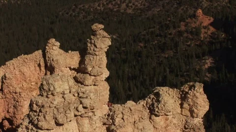 LP-Bryce-103 Video stock 8523050