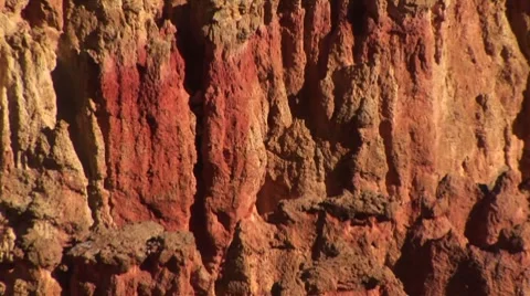 LP-Bryce-137 Video stock 8523229