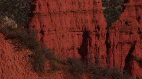 LP-Bryce-145 Video stock 8523172