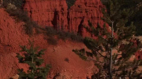 LP-Bryce-146 스톡 동영상 8523174