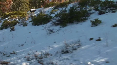 LP-Bryce-157 Video stock 8523264