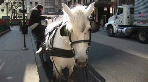 LP-Chicago-025 Stock Footage 10078518