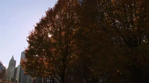 LP-Chicago-214c Video stock 10122131