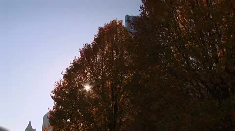 LP-Chicago-215 Stock Footage 10122416