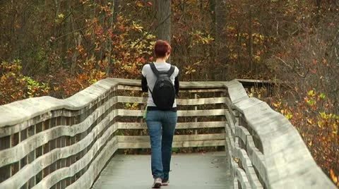 LP-GreatSwamp-A01b Stock Footage