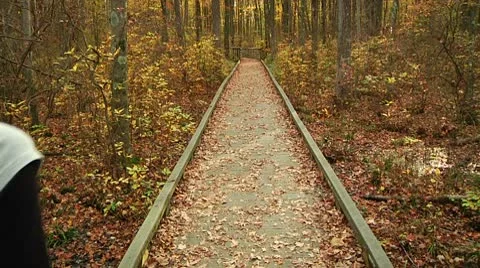 LP-GreatSwamp-A03 Stock Footage 8860873