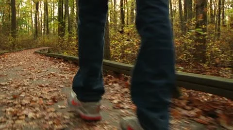 LP-GreatSwamp-A14b Stock Footage