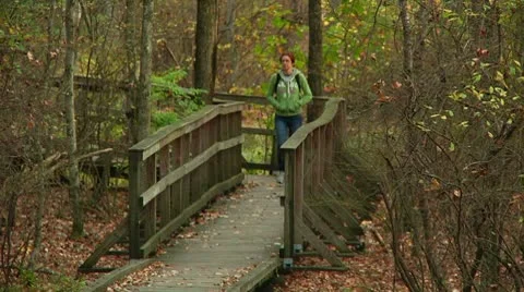 LP-GreatSwamp-A55 Video stock 8868406