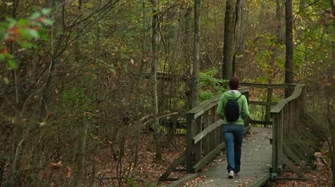 LP-GreatSwamp-A57 Video stock 8868621