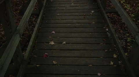 LP-GreatSwamp-A60 Stock Footage 8869275