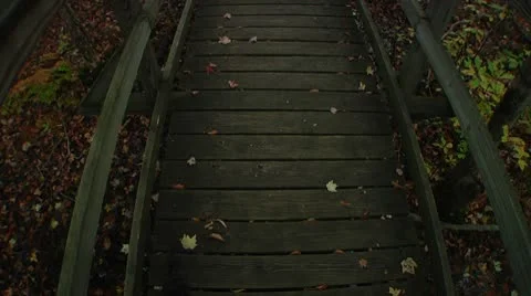 LP-GreatSwamp-A61 스톡 동영상 8869265