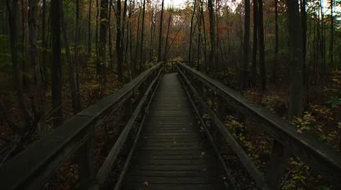 LP-GreatSwamp-A62 Vídeos de archivo 8869279
