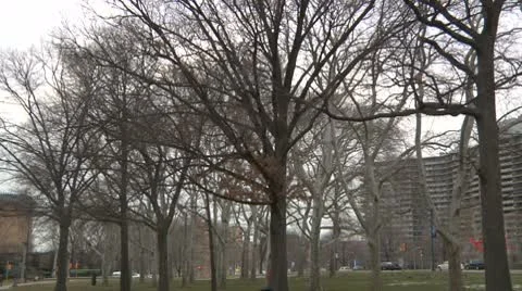 LP Philly 01d Video stock 8935493