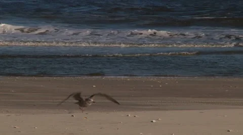 LP-PointPleasant-A24 Stock Footage 8853030